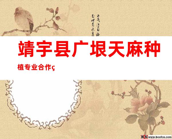靖宇县广垠天麻种植专业合作社